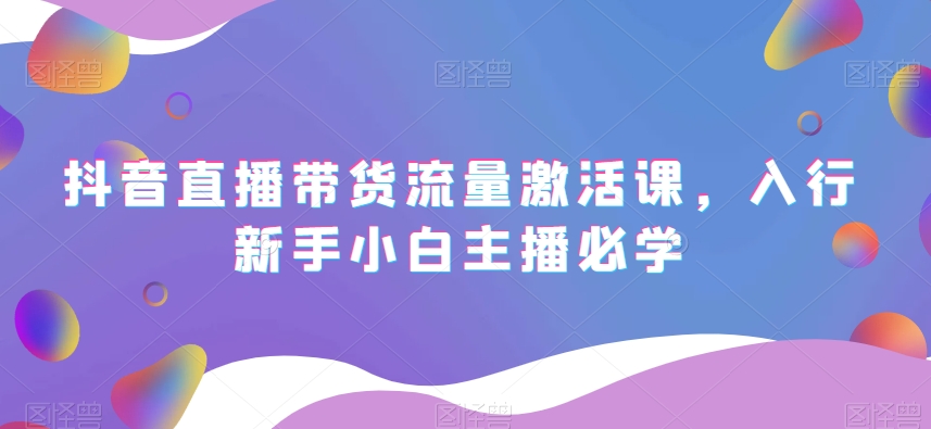 抖音直播带货流量激活课，入行新手小白主播必学-林文副业站