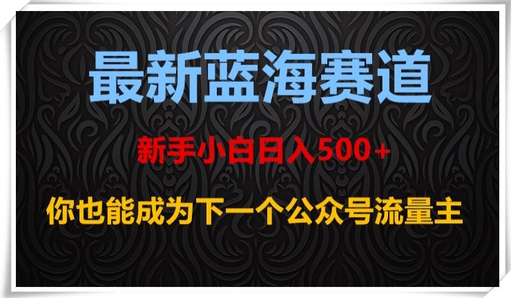 最新蓝海赛道，新手小白日入500+，你也能成为下一个公众号流量主【揭秘】-林文副业站