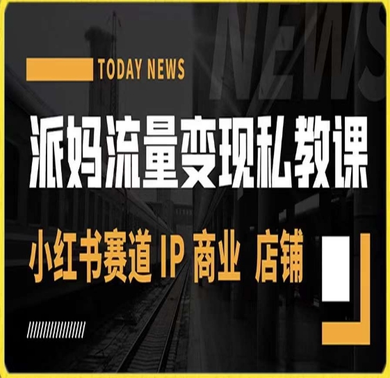 派妈流量变现私教课，小红书赛道IP  商业  店铺 -林文副业站