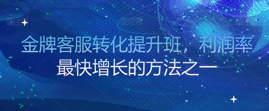金牌客服转化提升班，利润率最快增长的方法之一-林文副业站