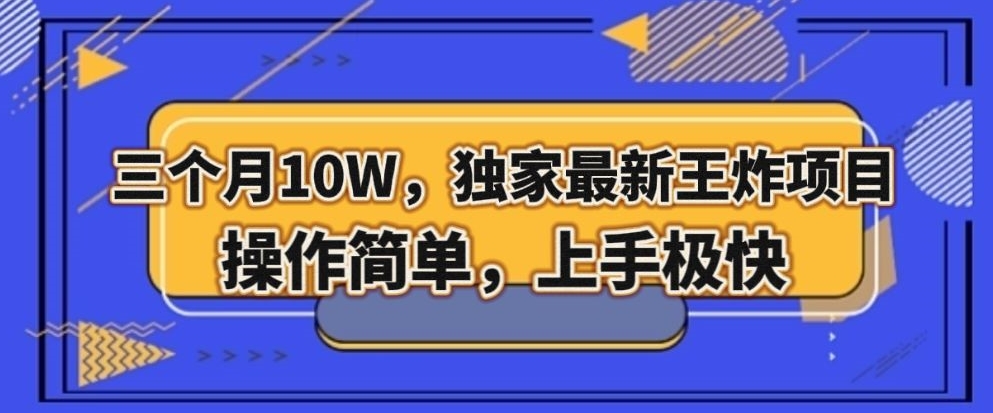 三个月10W，独家最新王炸项目！操作简单，上手极快【揭秘】-林文副业站