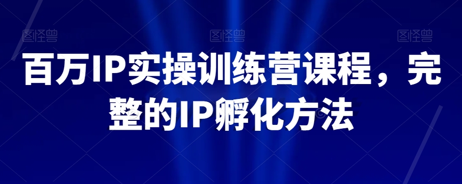 百万IP实操训练营课程，完整的IP孵化方法-林文副业站