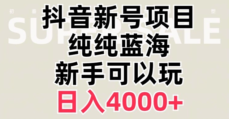 抖音蓝海赛道，必须是新账号，日入4000+【揭秘】-林文副业站