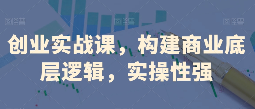 创业实战课，​构建商业底层逻辑，实操性强-林文副业站