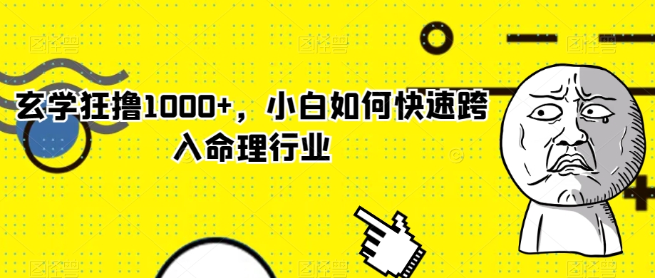 玄学狂撸1000+，小白如何快速跨入命理行业【揭秘】-林文副业站