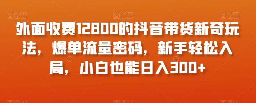 外面收费12800的抖音带货新奇玩法，爆单流量密码，新手轻松入局，小白也能日入300+【揭秘】-林文副业站