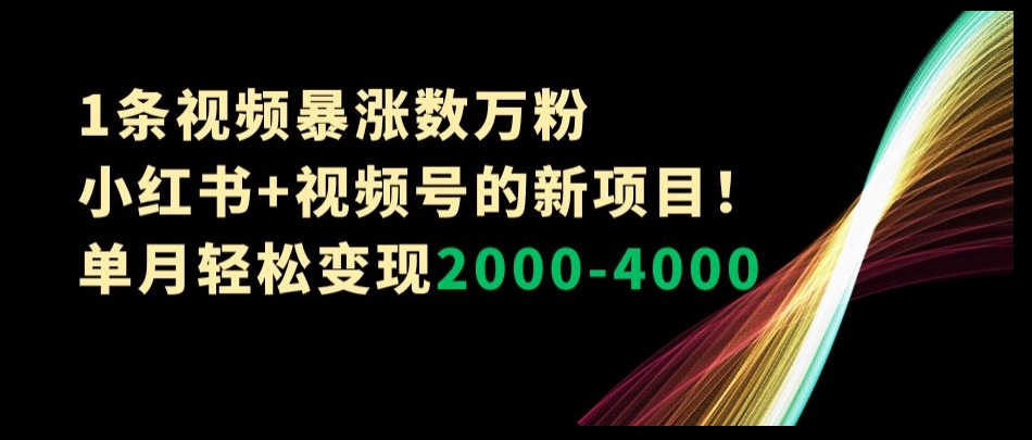 1条视频暴涨数万粉–小红书+视频号的新项目！单月轻松变现2000-4000【揭秘】-林文副业站