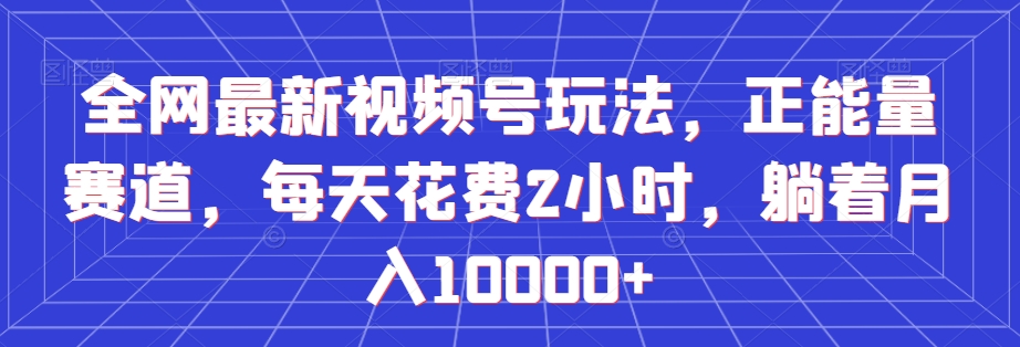 全网最新视频号玩法，正能量赛道，每天花费2小时，躺着月入10000+【揭秘】-林文副业站