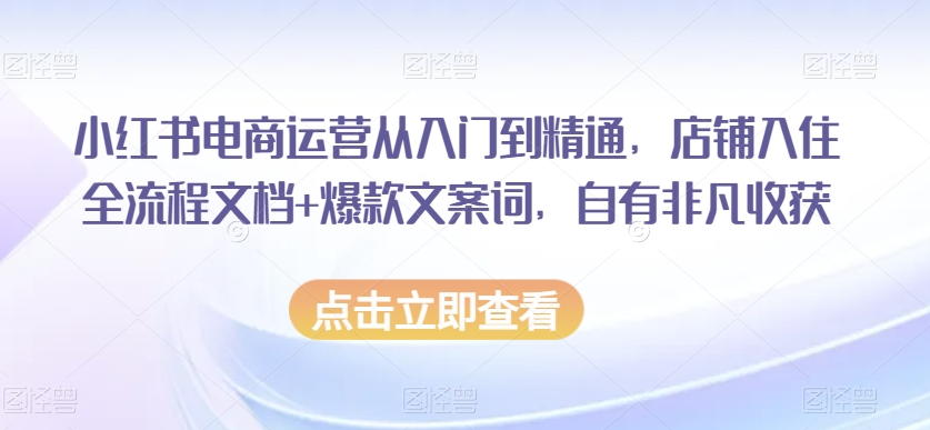 小红书电商运营从入门到精通，店铺入住全流程文档+爆款文案词，自有非凡收获-林文副业站