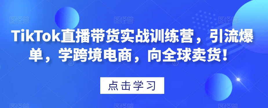 TikTok直播带货实战训练营，引流爆单，学跨境电商，向全球卖货！-林文副业站