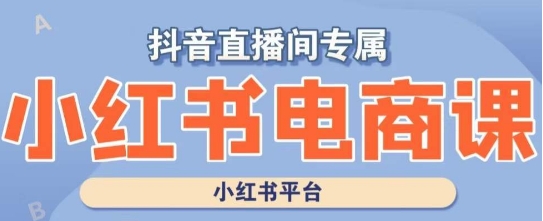小红书电商高级运营课程，实操教学+案例分析-林文副业站