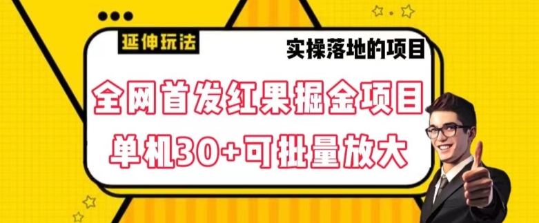 全网首发红果免费短剧掘金项目，单机30+可批量放大【揭秘】-林文副业站