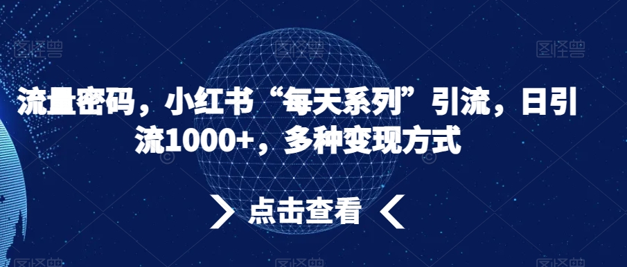 流量密码，小红书“每天系列”引流，日引流1000+，多种变现方式【揭秘】-林文副业站