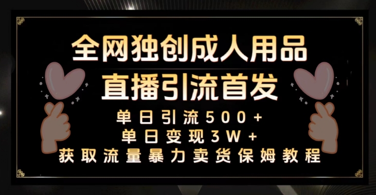 全网独创真人主播+无人直播单日引流500+，橙人用品暴力卖货单日变现3W+保姆似教学2.0【揭秘】-林文副业站