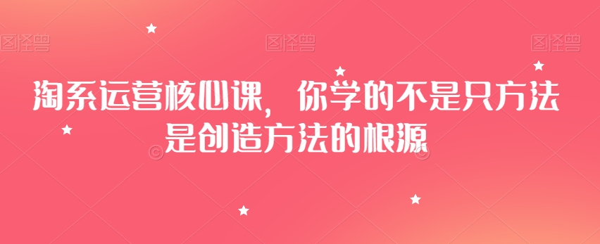 淘系运营核心课，你学的不是只方法是创造方法的根源-林文副业站