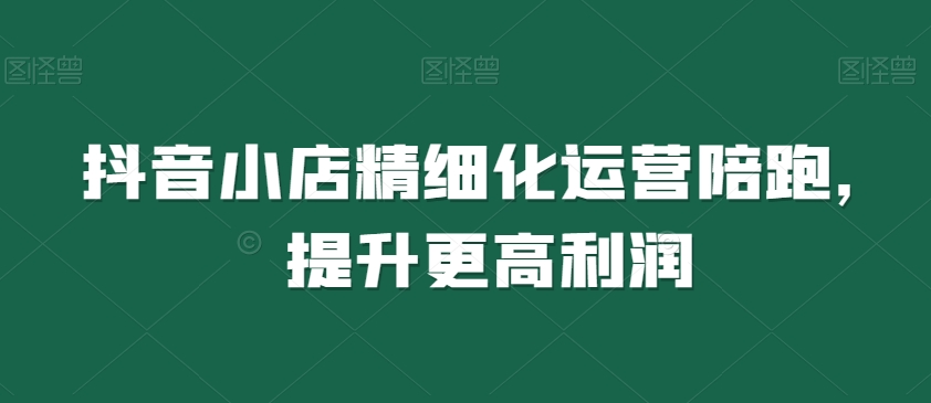 抖音小店精细化运营陪跑，提升更高利润-林文副业站