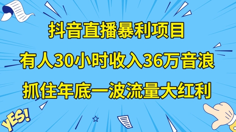 抖音直播暴利项目，有人30小时收入36万音浪，公司宣传片年会视频制作，抓住年底一波流量大红利【揭秘】-林文副业站