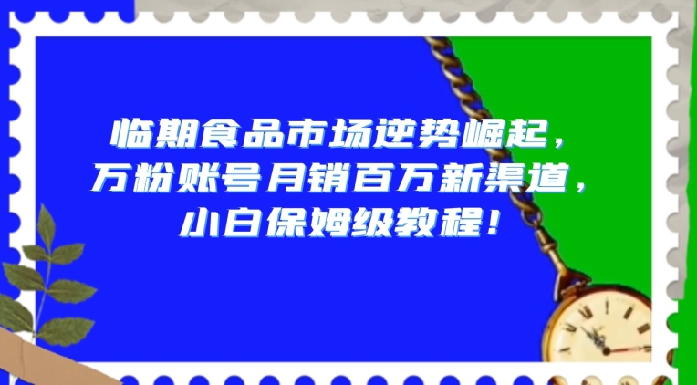 临期食品市场逆势崛起，万粉账号月销百万新渠道，小白保姆级教程【揭秘】-林文副业站