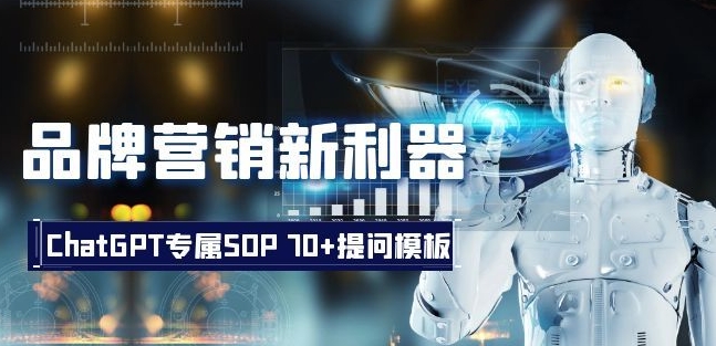 品牌营销新利器：ChatGPT专属SOP，70+提问模板【文档】-林文副业站