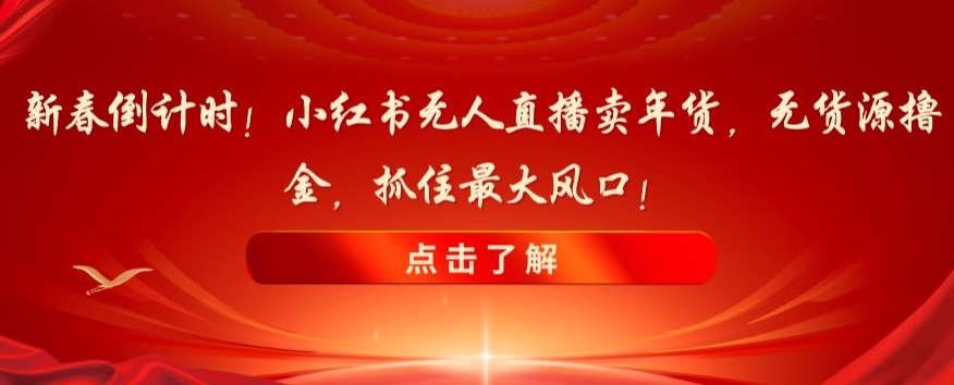 新春倒计时！小红书无人直播卖年货，无货源撸金，抓住最大风口【揭秘】-林文副业站