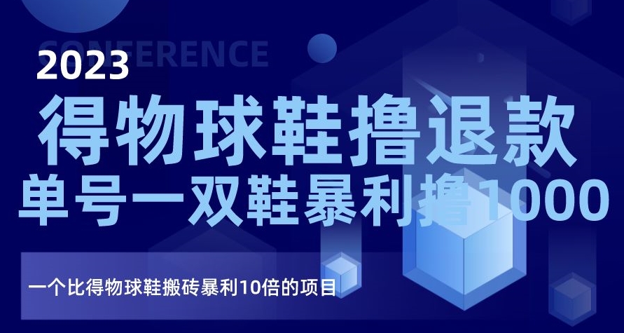 2023得物球鞋撸退款，单号一双鞋暴利撸1000，一个比得物球鞋搬砖暴利10倍的项目【揭秘】-林文副业站
