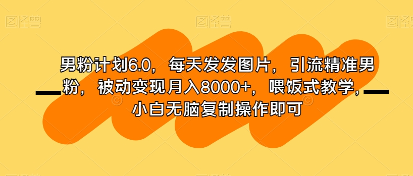 男粉计划6.0，每天发发图片，引流精准男粉，被动变现月入8000+，喂饭式教学，小白无脑复制操作即可-林文副业站