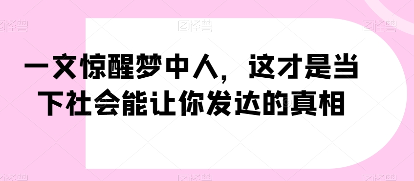 一文惊醒梦中人，这才是当下社会能让你发达的真相【公众号付费文章】-林文副业站