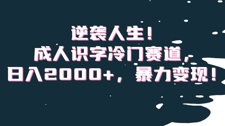 逆袭人生！成人识字冷门赛道，日入2000+，暴力变现！【揭秘】-林文副业站