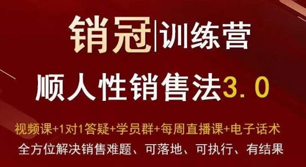 爆款！销冠训练营3.0之顺人性销售法，全方位解决销售难题、可落地、可执行、有结果-林文副业站