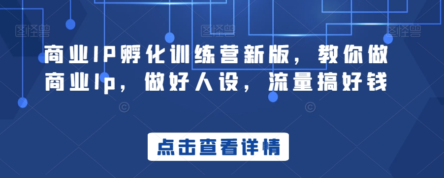 商业IP孵化训练营新版，教你做商业Ip，做好人设，流量搞好钱-林文副业站