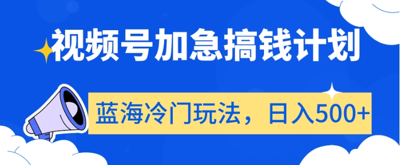视频号加急搞钱计划，蓝海冷门玩法，日入500+【揭秘】-林文副业站