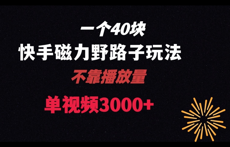一个40块，快手联合美团磁力新玩法，无视机制野路子玩法，单视频收益4位数【揭秘】-林文副业站