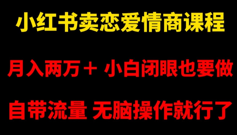 小红书卖恋爱情商课程，月入两万＋，小白闭眼也要做，自带流量，无脑操作就行了【揭秘】-林文副业站