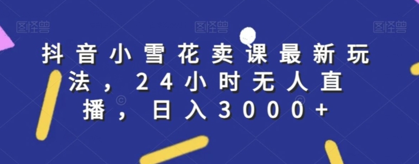 抖音小雪花卖课最新玩法，24小时无人直播，日入3000+【揭秘】-林文副业站