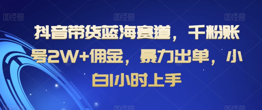 抖音带货蓝海赛道，千粉账号2W+佣金，暴力出单，小白1小时上手【揭秘】-林文副业站