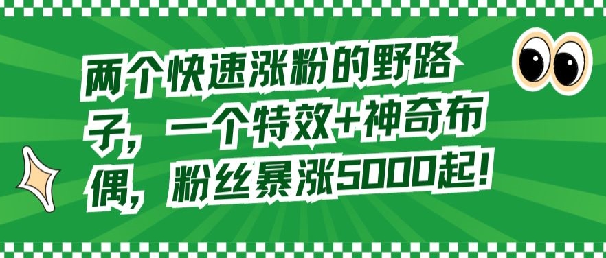 两个快速涨粉的野路子，一个特效+神奇布偶，粉丝暴涨5000起【揭秘】-林文副业站