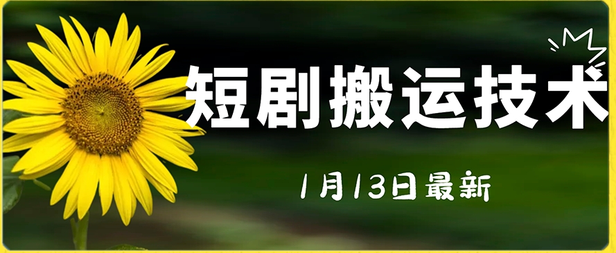 最新短剧搬运技术，电脑手机都可以操作，不限制机型-林文副业站