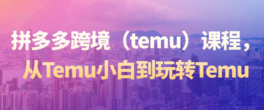 拼多多跨境（temu）课程，从Temu小白到玩转Temu-林文副业站