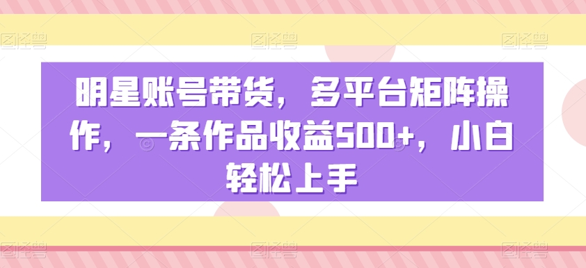 明星账号带货，多平台矩阵操作，一条作品收益500+，小白轻松上手【揭秘】-林文副业站