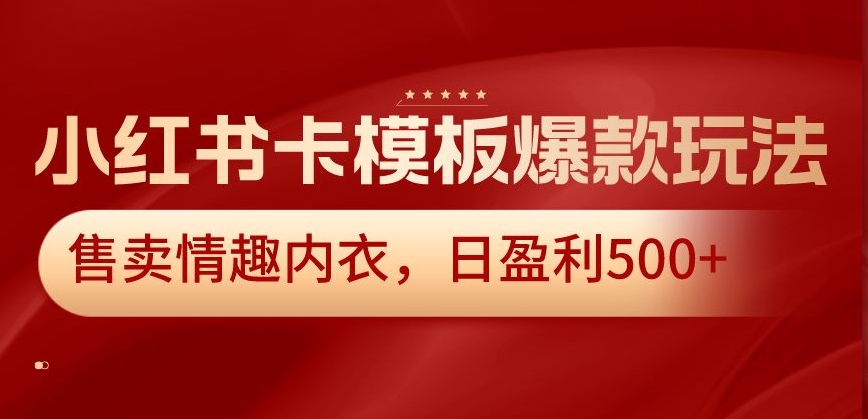 小红书卡模板爆款玩法，售卖情趣内衣，日盈利500+【揭秘】-林文副业站