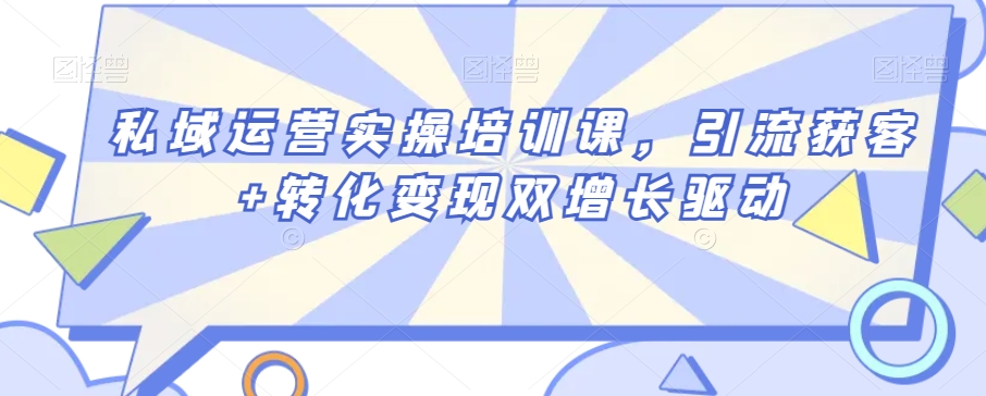 私域运营实操培训课，引流获客+转化变现双增长驱动-林文副业站