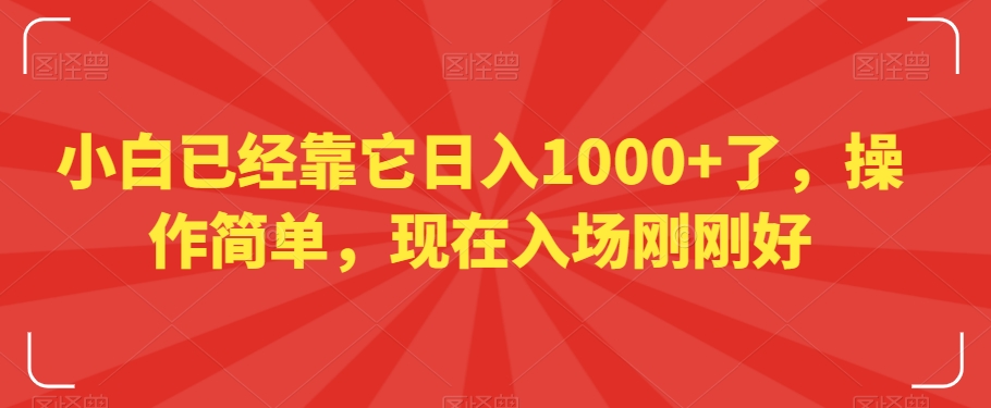 小白已经靠它日入1000+了，操作简单，现在入场刚刚好【揭秘】-林文副业站