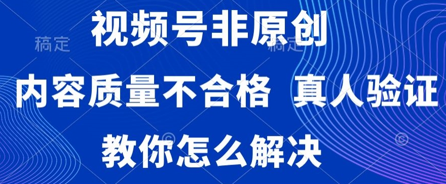 视频号非原创，内容质量不合格，真人验证，违规怎么解决【揭秘】-林文副业站