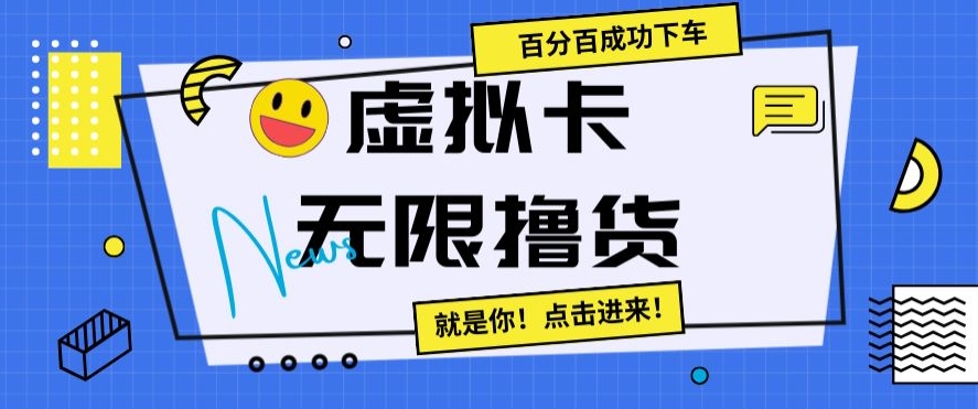 虚拟卡无限撸货，百分百成功下车【仅揭秘】-林文副业站