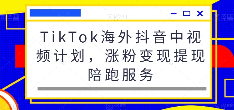 TikTok海外抖音中视频计划，涨粉变现提现陪跑服务-林文副业站
