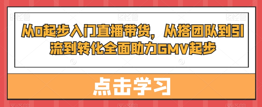 从0起步入门直播带货，​从搭团队到引流到转化全面助力GMV起步-林文副业站