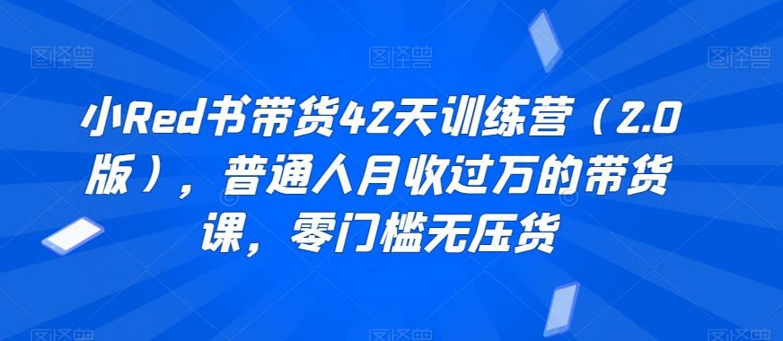 小Red书带货42天训练营（2.0版），普通人月收过万的带货课，零门槛无压货-林文副业站