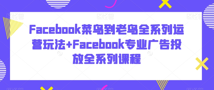 Facebook菜鸟到老鸟全系列运营玩法+Facebook专业广告投放全系列课程-林文副业站