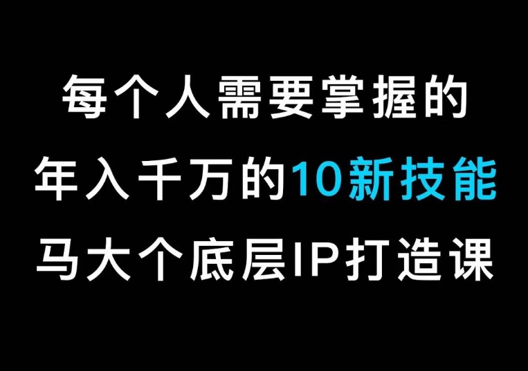 马大个的IP底层逻辑课，​每个人需要掌握的年入千万的10新技能，约会底层IP打造方法！-林文副业站
