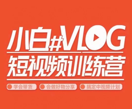 小呆说视–小白VLOG短视频训练营，学会带货、好物、直播、中视频-林文副业站
